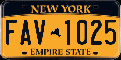 NY license plate FAV1025