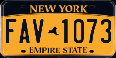 NY license plate FAV1073
