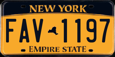 NY license plate FAV1197