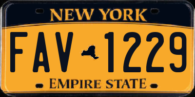 NY license plate FAV1229