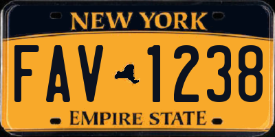 NY license plate FAV1238