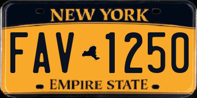 NY license plate FAV1250