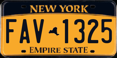 NY license plate FAV1325