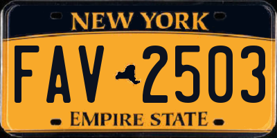 NY license plate FAV2503