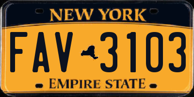 NY license plate FAV3103