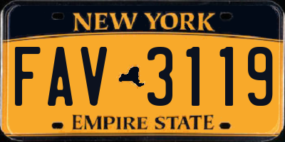 NY license plate FAV3119