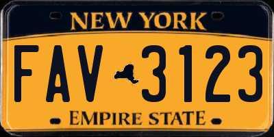 NY license plate FAV3123