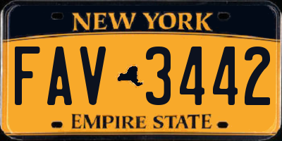 NY license plate FAV3442