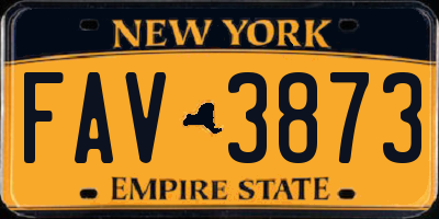 NY license plate FAV3873
