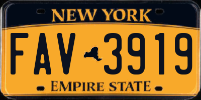 NY license plate FAV3919