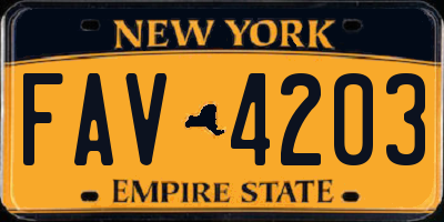 NY license plate FAV4203