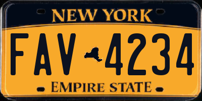 NY license plate FAV4234