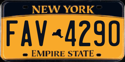 NY license plate FAV4290