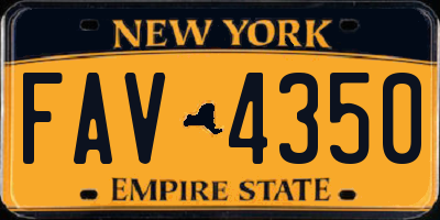 NY license plate FAV4350