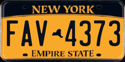 NY license plate FAV4373