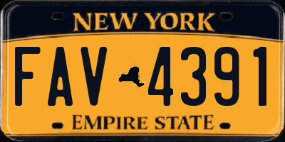 NY license plate FAV4391