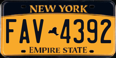 NY license plate FAV4392