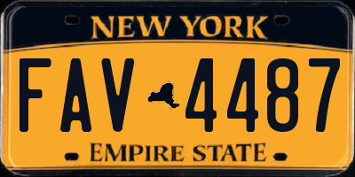 NY license plate FAV4487