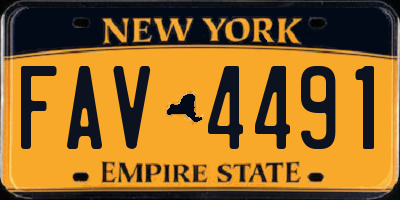 NY license plate FAV4491