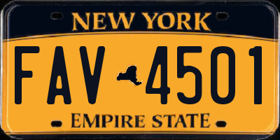 NY license plate FAV4501