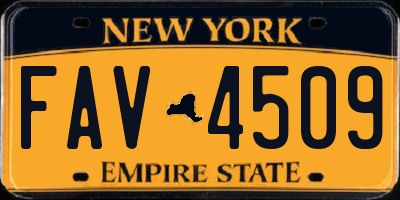 NY license plate FAV4509