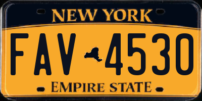 NY license plate FAV4530