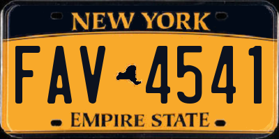 NY license plate FAV4541