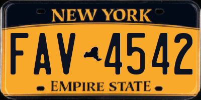 NY license plate FAV4542