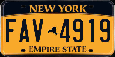 NY license plate FAV4919