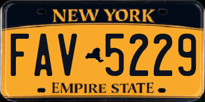 NY license plate FAV5229