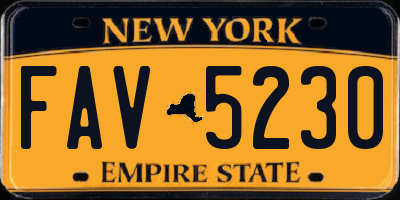 NY license plate FAV5230