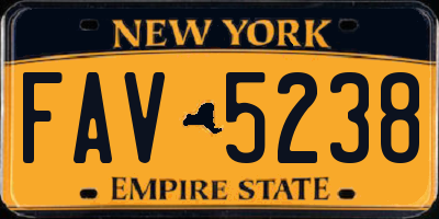 NY license plate FAV5238