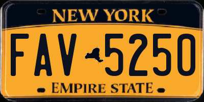 NY license plate FAV5250