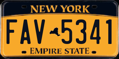 NY license plate FAV5341