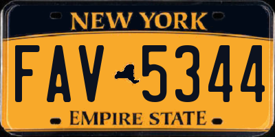 NY license plate FAV5344