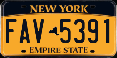 NY license plate FAV5391