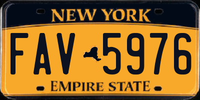 NY license plate FAV5976