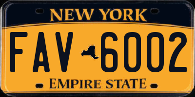 NY license plate FAV6002