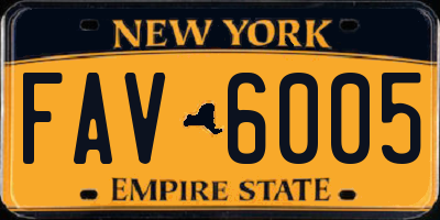 NY license plate FAV6005