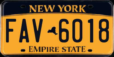 NY license plate FAV6018