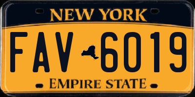 NY license plate FAV6019