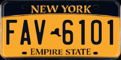 NY license plate FAV6101