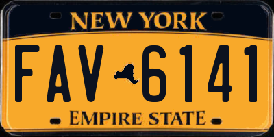 NY license plate FAV6141