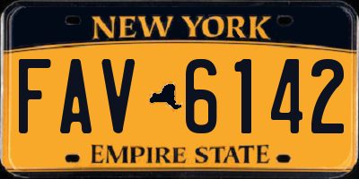 NY license plate FAV6142
