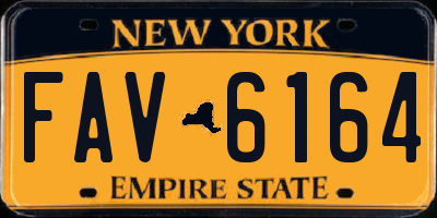 NY license plate FAV6164
