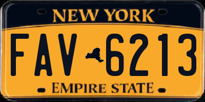NY license plate FAV6213