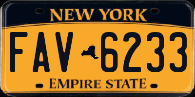NY license plate FAV6233