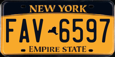 NY license plate FAV6597