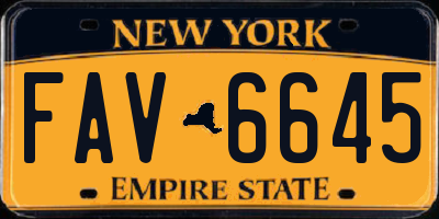 NY license plate FAV6645