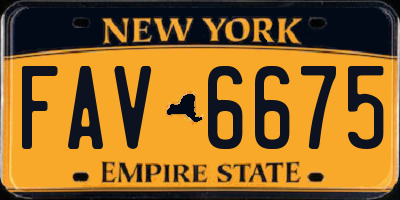 NY license plate FAV6675